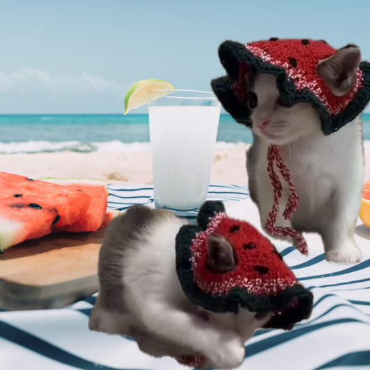 Custom- Pet Fruit Hat: Watermelon