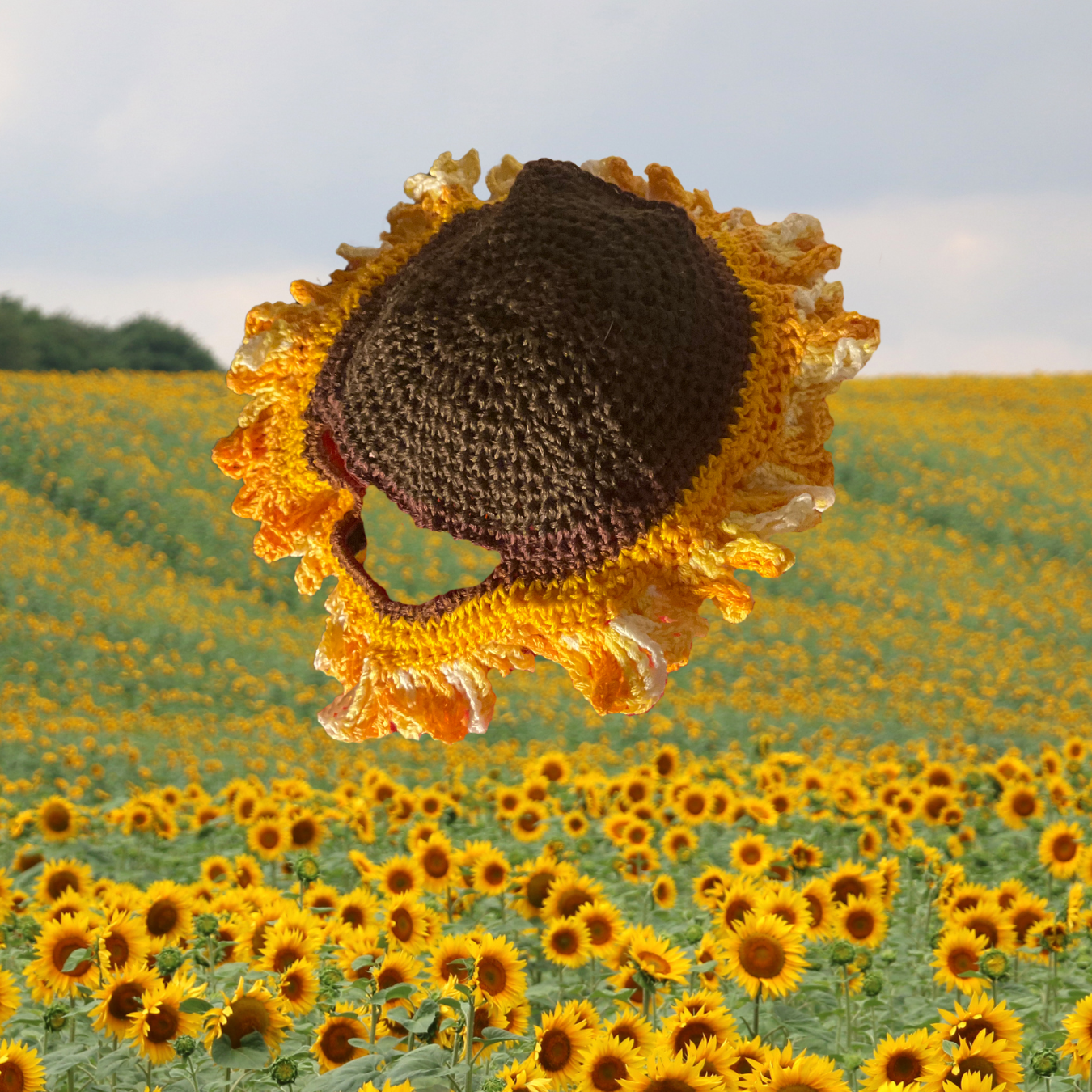 Custom- Pet Flower Hat: Sunflower